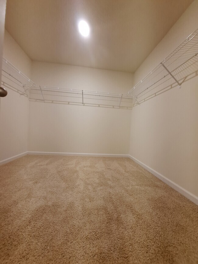 Building Photo - 12032 Sweet Almond Ln