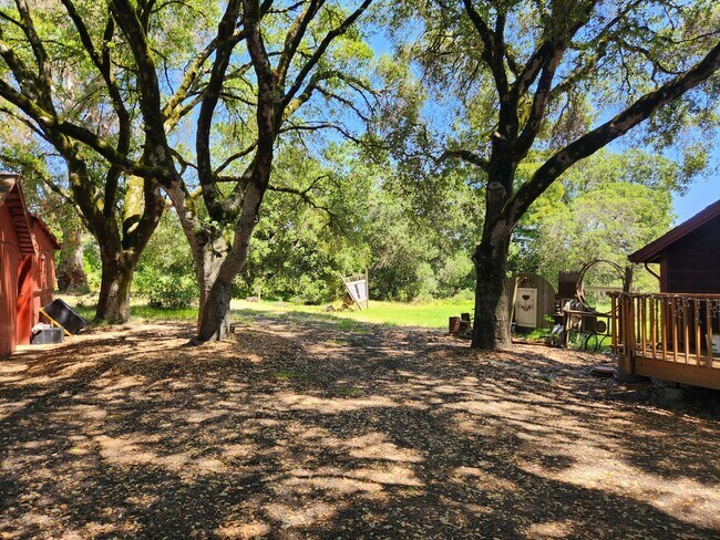 Building Photo - Beautiful 3 Bedroom/1 bathroom home with a...