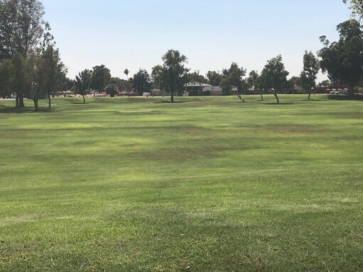 Building Photo - Tempe 3 Bed, 2 Bath - Pool and Single Story