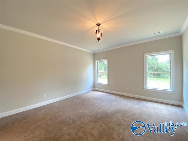 Building Photo - 133 Matilda Dr