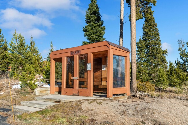 Building Photo - Beautiful Views in Silverthorne