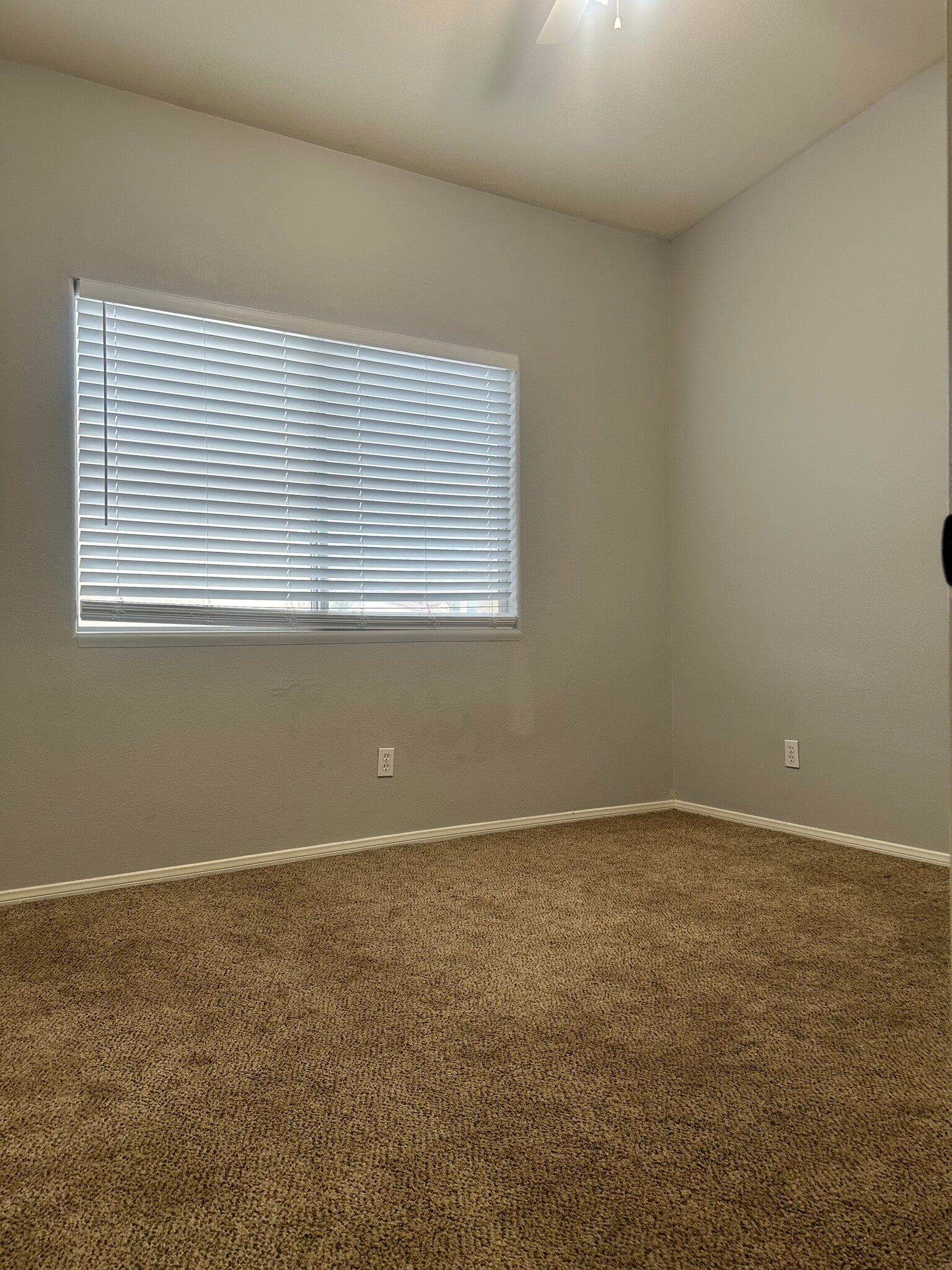 Building Photo - 85 Falcon Feather Way