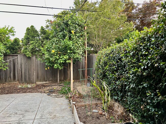 Building Photo - Updated Willow Glen Eichler