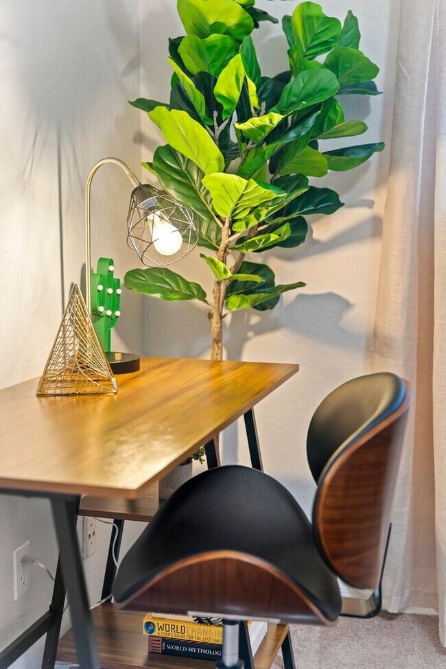 Building Photo - UN-FURNISHED!! 3 Bedroom/ 2Bath in Heart of Scottsdale!!