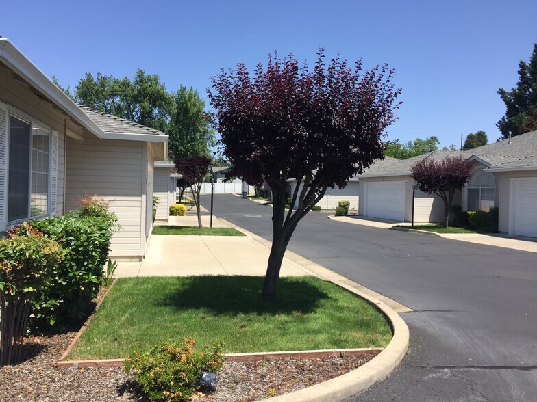 Building Photo - 1221 Skeeters Ln