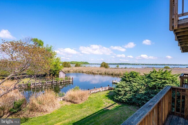 Building Photo - 1100 Paca Dr