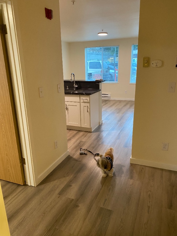 Building Photo - 334 Wells Ave S