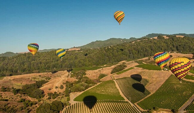 Building Photo - 1600 Atlas Peak Rd