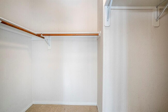 Building Photo - 20126 Monarda Manor Ct