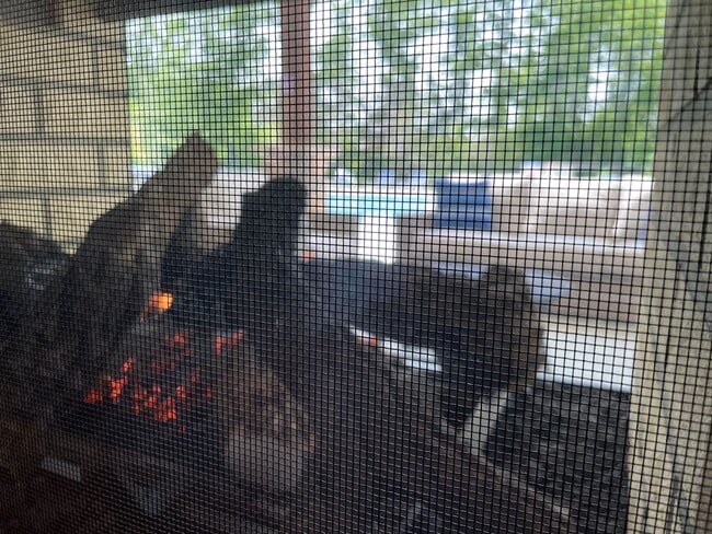 Building Photo - Heron | 3 Bed 2.5 Bath | Garage | 1800 sf | $2726-$2999 | 8, 9, 10, 12, 14, and 15 month lease terms