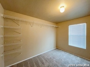 Building Photo - 101 Willow Hill