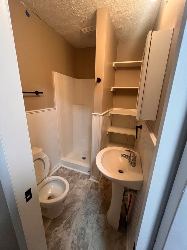 Building Photo - 3 bedroom 2 bathroom located near MSU