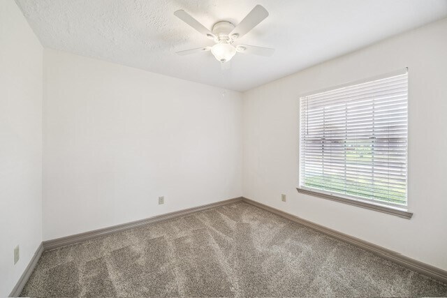 Building Photo - 5915 Ray Dr