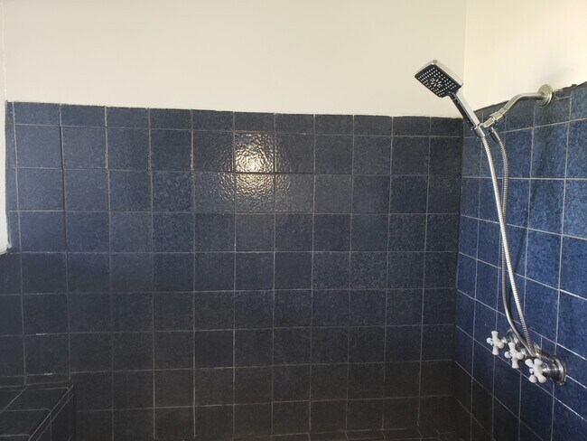 Shower - 960 N Tigertail Rd