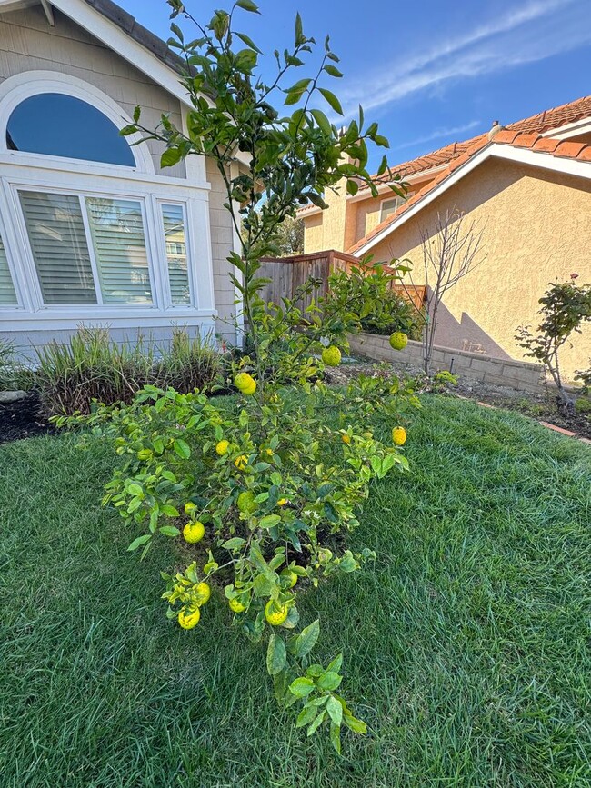 Building Photo - Comfort and Community in Thousand Oaks