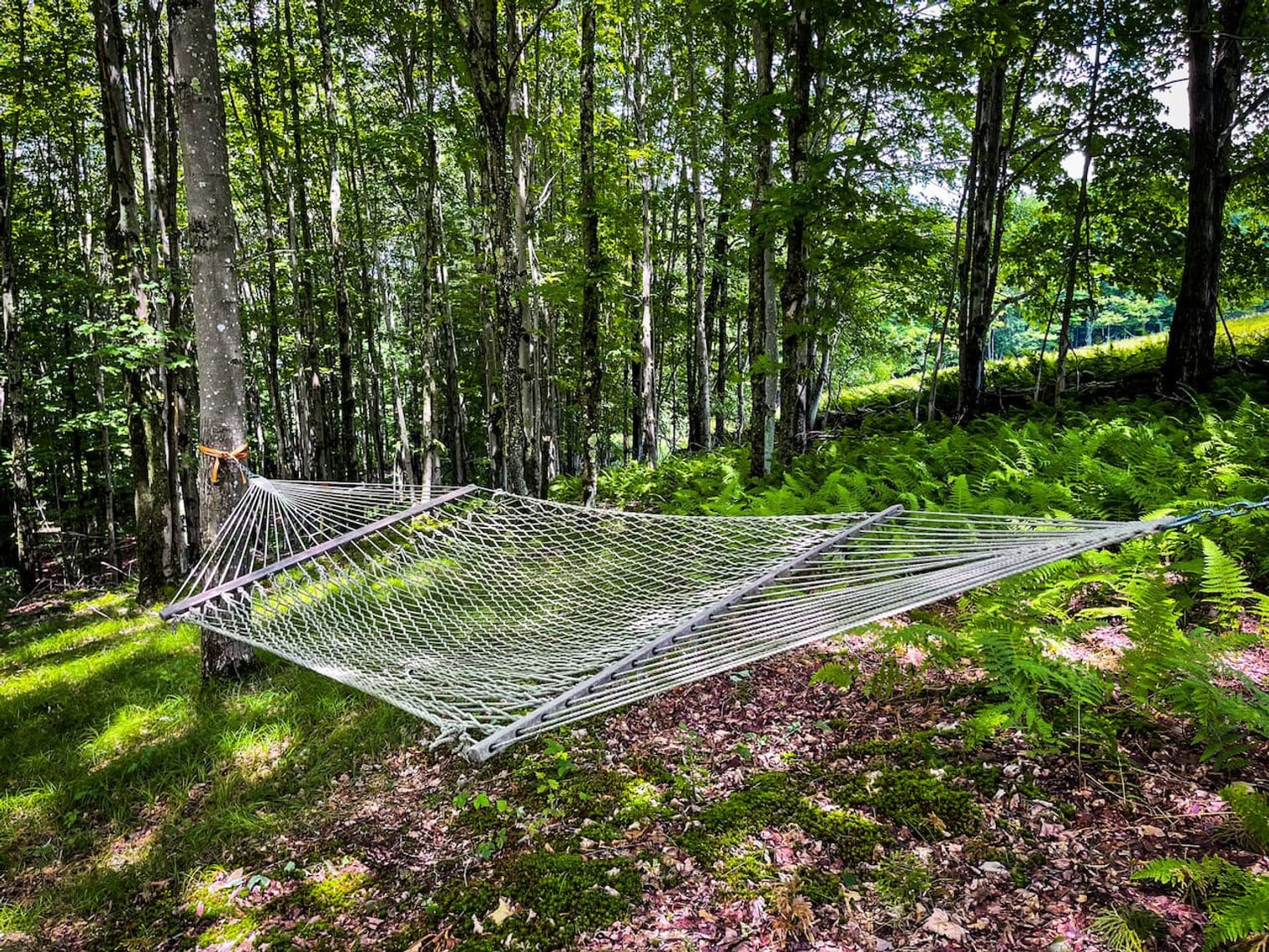 Building Photo - 385 Mountain Brook Rd