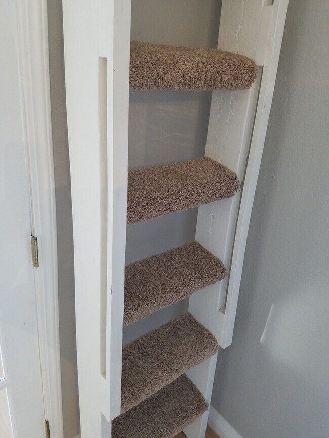 Building Photo - Gorgeous 2 bed 2 bath nestled in heart of Mission Viejo