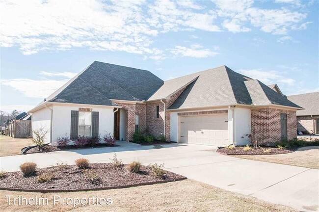 Building Photo - 4 br, 3 bath House - 901 Abundance Xing