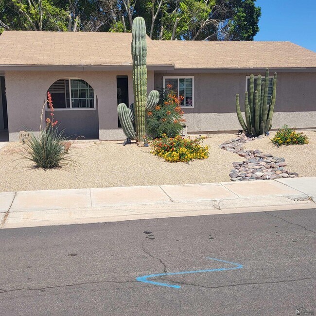 Primary Photo - 1744 W Camino Granada
