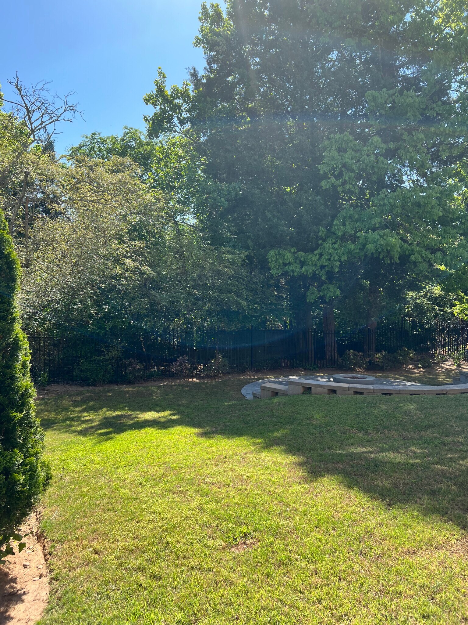 Backyard - 440 Wembley Cir