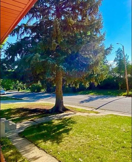 Building Photo - 6898 Newman Street