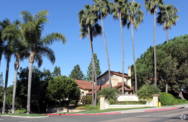 Primary Photo - Madrid