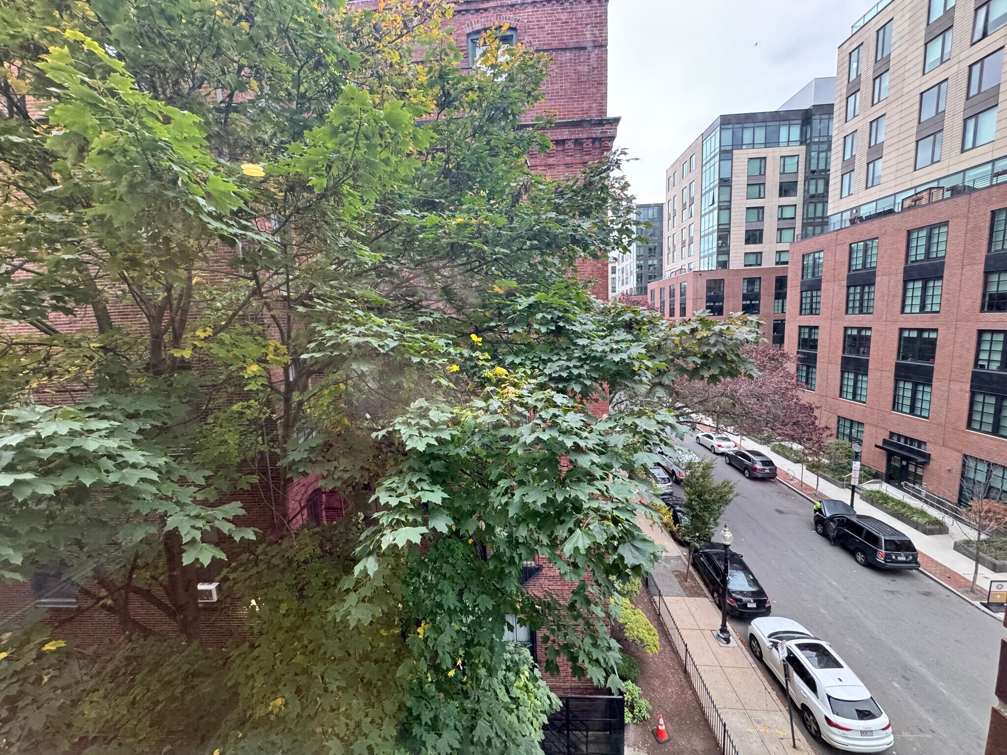 Building Photo - 595 Albany St