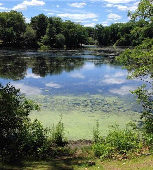 Building Photo - 40 Metropolitan Ave