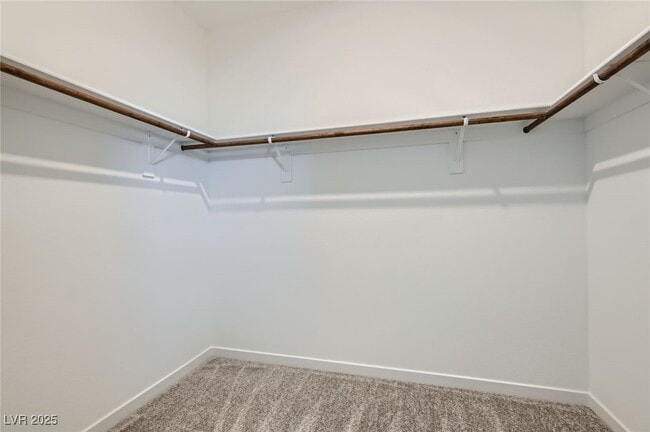 Building Photo - 114 Brielle Beacon Ln