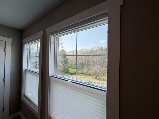 Building Photo - Leicester - Immaculate Three Bedroom with Huge Backyard