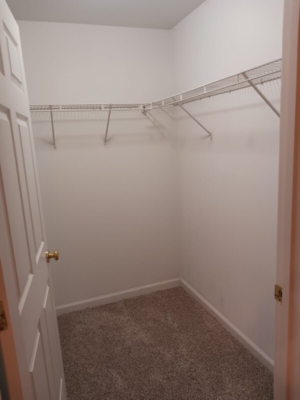 Building Photo - 5203 Spring Creek Ln