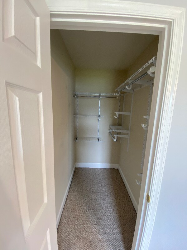 Building Photo - 3600 Old Forest Rd