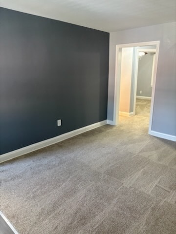 Entire Apartment Freshly Painted with all New Carpeting - 4008 Hilton Rd