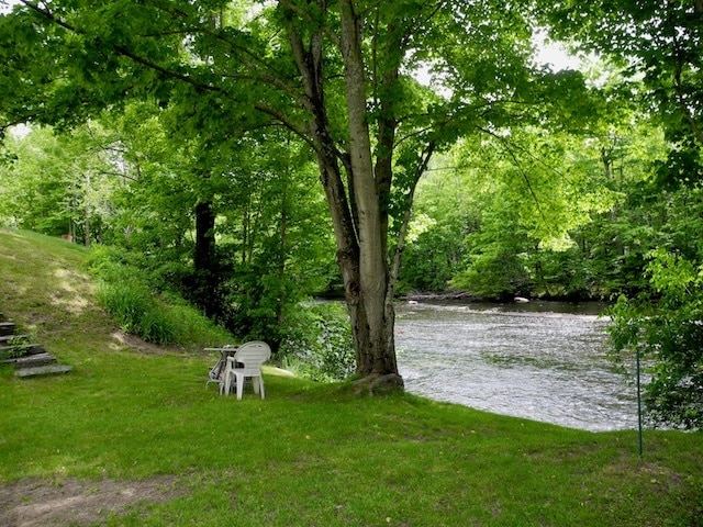 Backyard Neversink River - 6201 NY-42