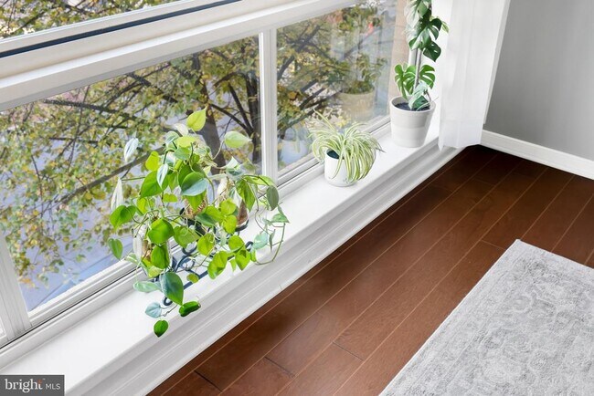 Building Photo - 2200 N Westmoreland St