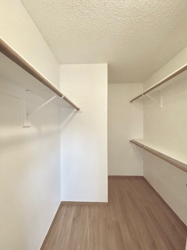 Building Photo - Spacious Briargate 4 Bedroom/3.5 Bathroom Home with huge Yard