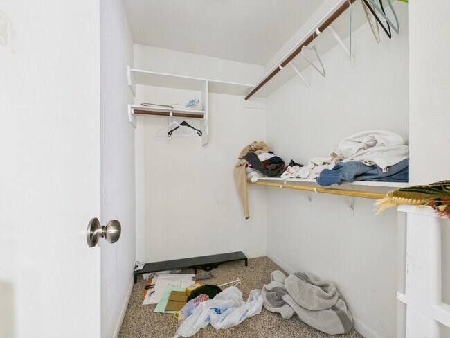Building Photo - 513 Camp Ct