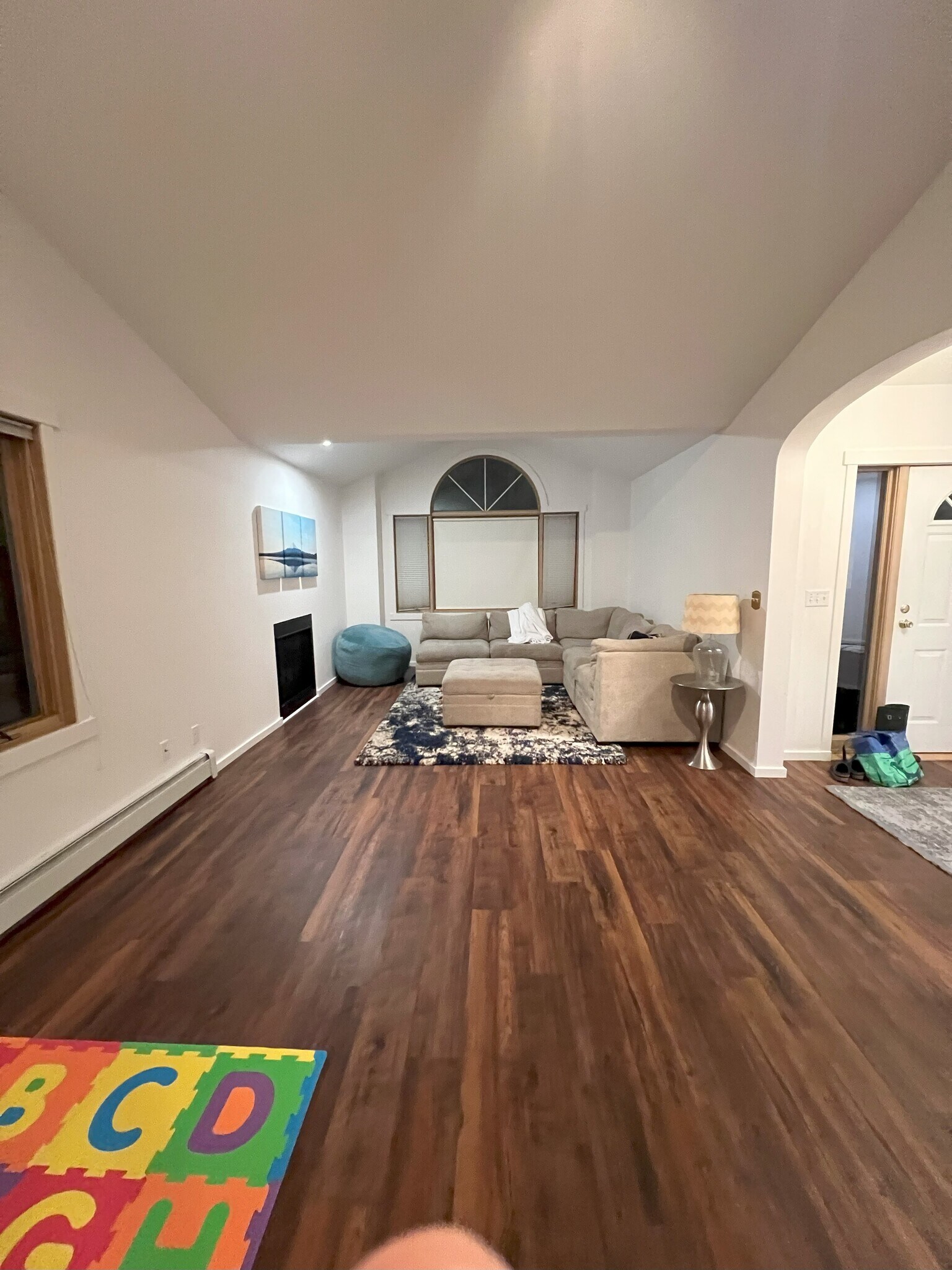 Large living room - 1005 Woodland Dr