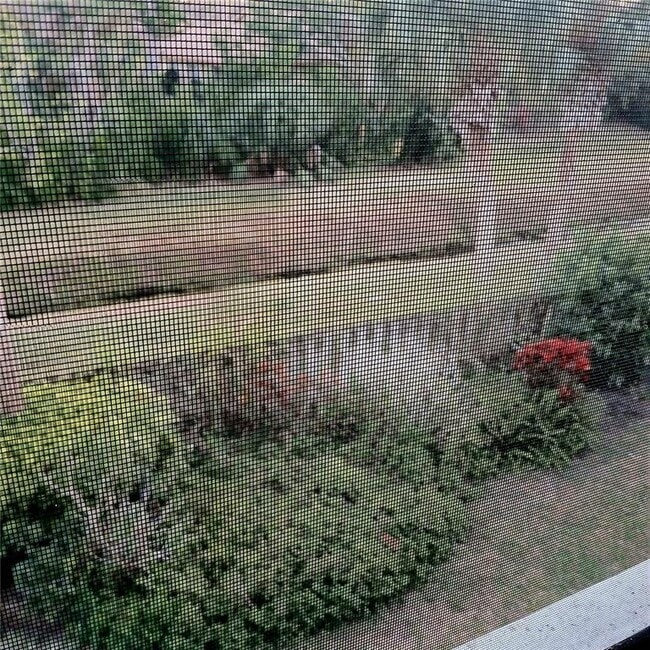 Building Photo - 7143 Wood Creek Dr