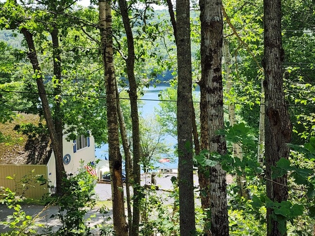 Building Photo - 116 Pine Trail