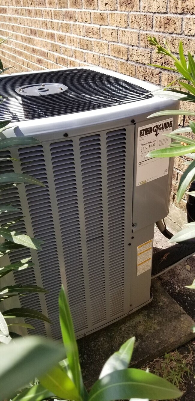 Building Photo - 10822 Lynbrook Dr