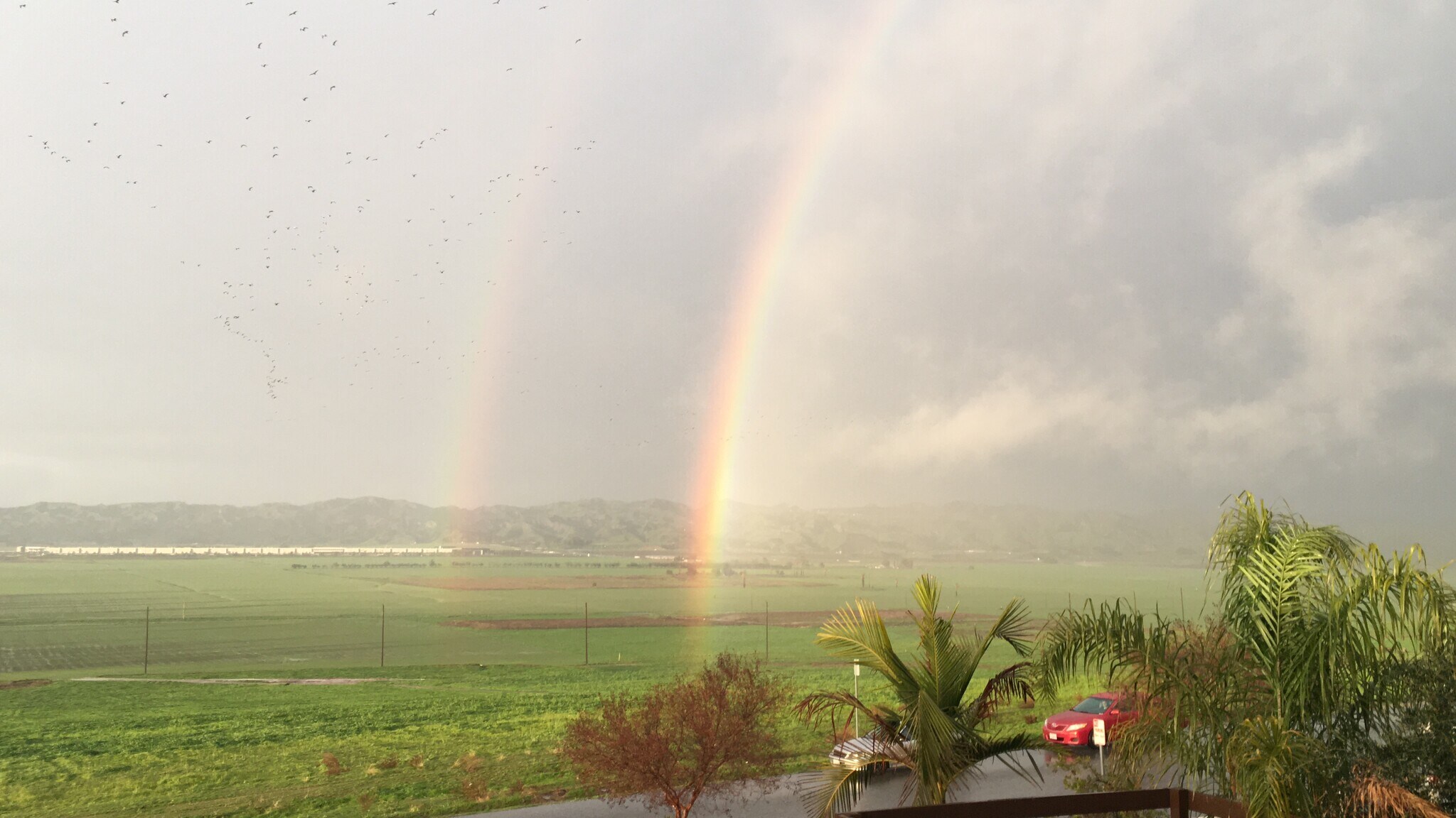 Building Photo - 29200 Alicante Ave