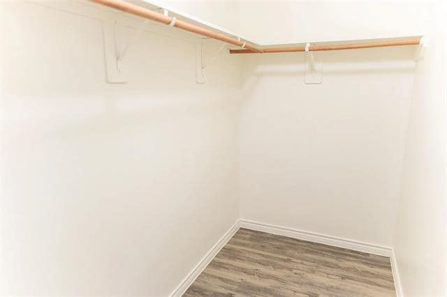 Building Photo - 4205 Summersweet Ln