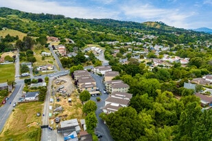 Aerial - Heritage Grove Apartments