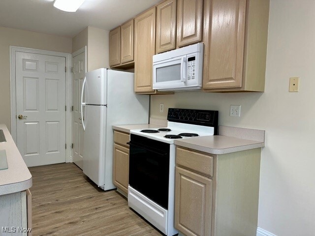 Building Photo - 3800 Rosemont Blvd