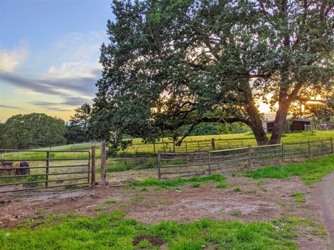 Building Photo - Beautifully Renovated 5 Bedroom Farmhouse outside of Newberg