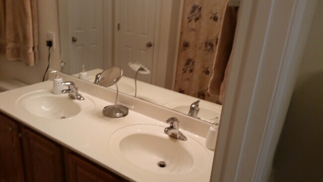 Master Bath - 156 Laurel Hill Pl