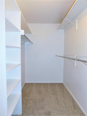 Building Photo - 3721 Calvert Ln