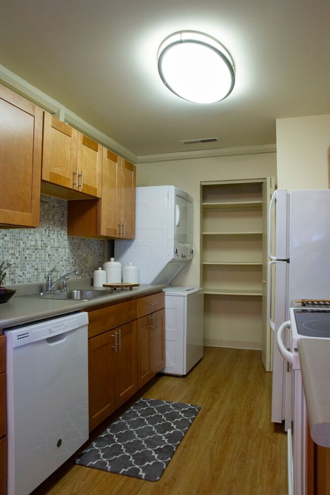 Building Photo - Two Bedroom Contemporary Style Apartment on the First Floor