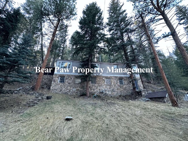 Building Photo - Rustic Stone Home on Witter Gulch!!